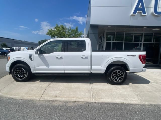 Certified 2023 Ford F150 XLT w/ Equipment Group 302A High AWD/4WD image 5