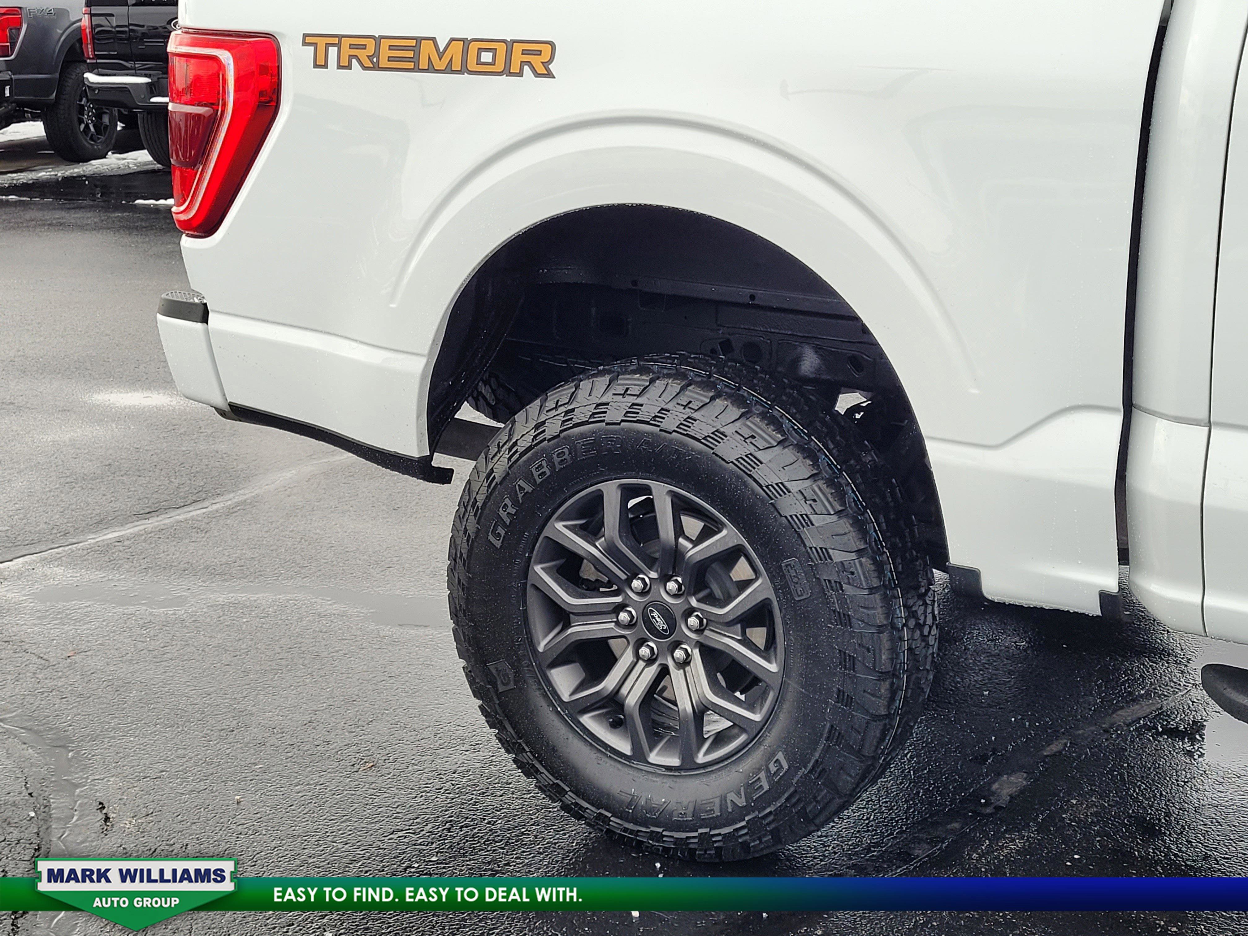 Certified 2023 Ford F150 Tremor image 29