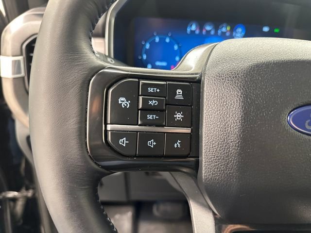 Certified 2025 Ford F150 Platinum w/ FX4 Off-Road Package image 33