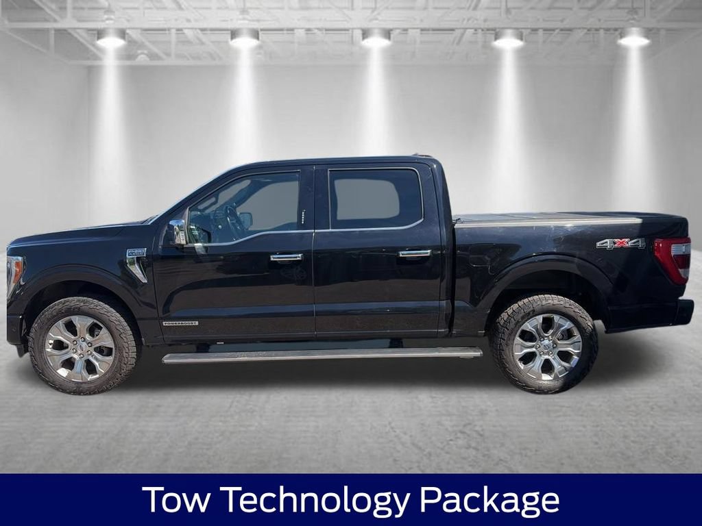 Certified 2021 Ford F150 Platinum w/ Equipment Group 701A High AWD/4WD image 4