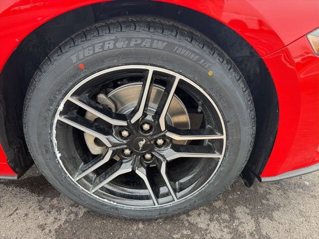 Certified 2020 Ford Mustang Premium RWD image 14