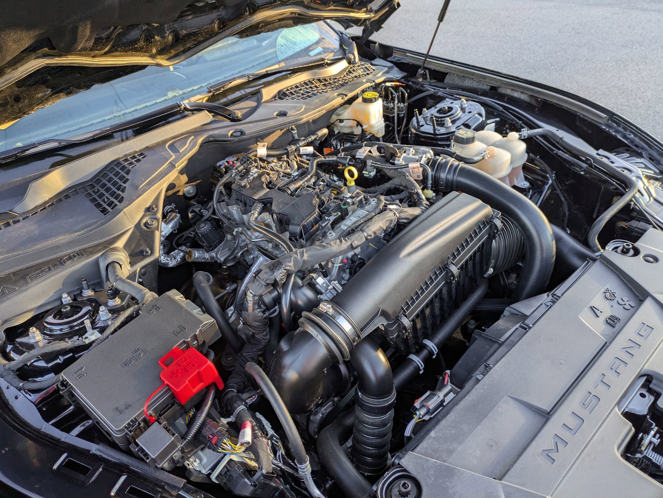 Certified 2024 Ford Mustang Coupe image 35