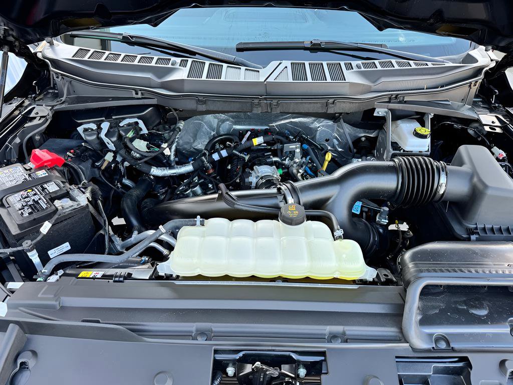 Certified 2025 Ford F150 STX w/ Equipment Group 200A RWD image 9