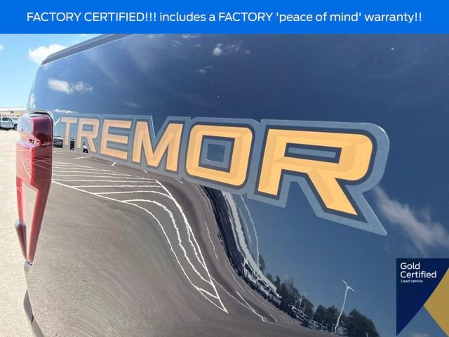 Certified 2025 Ford F150 Tremor w/ Tow/Haul Package AWD/4WD image 12