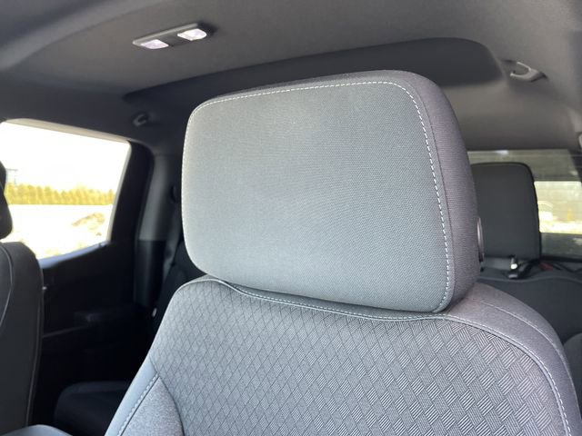 Used 2019 Chevrolet Silverado 1500 LT w/ All-Star Edition image 14