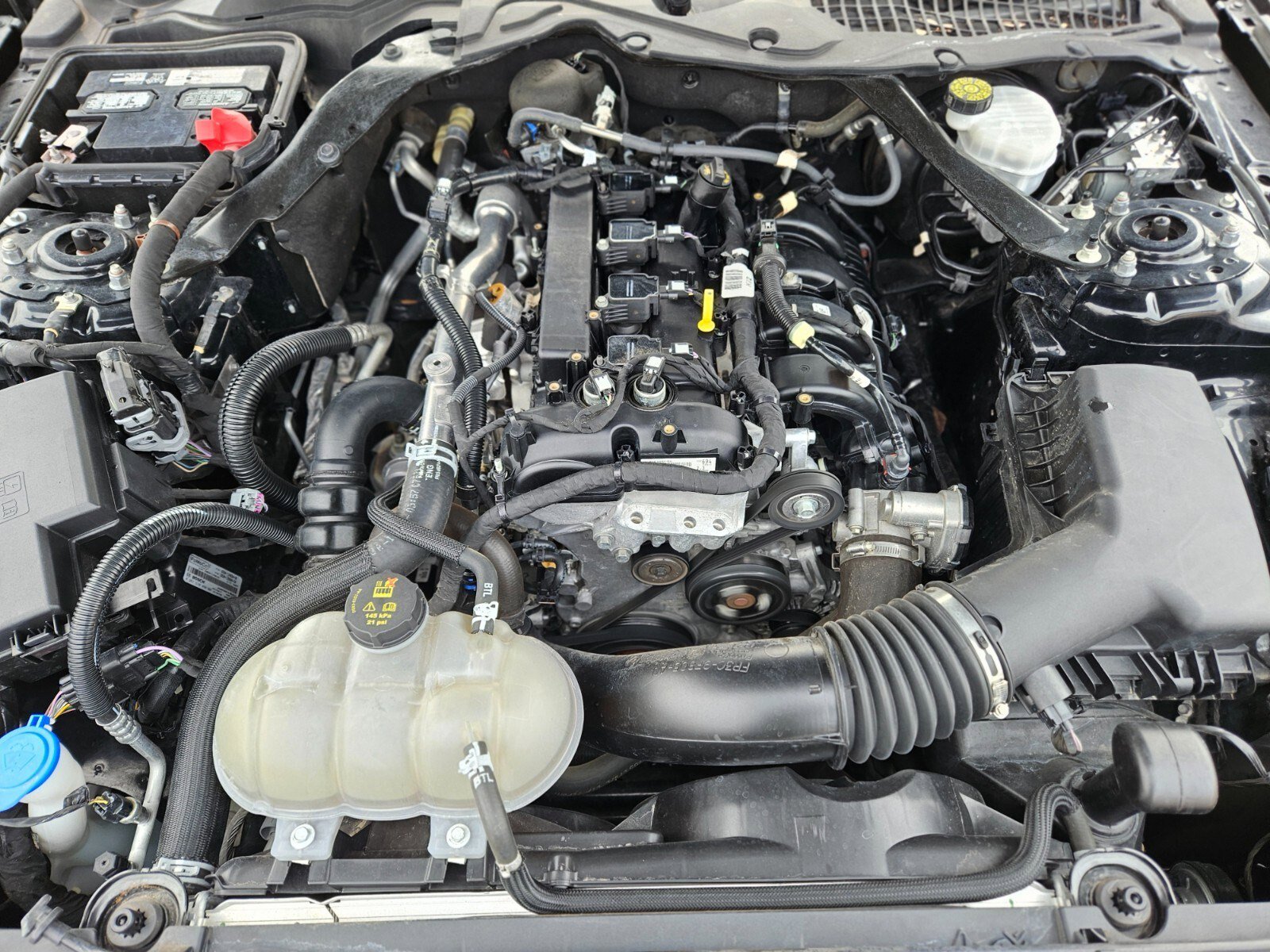 Certified 2023 Ford Mustang Premium image 27