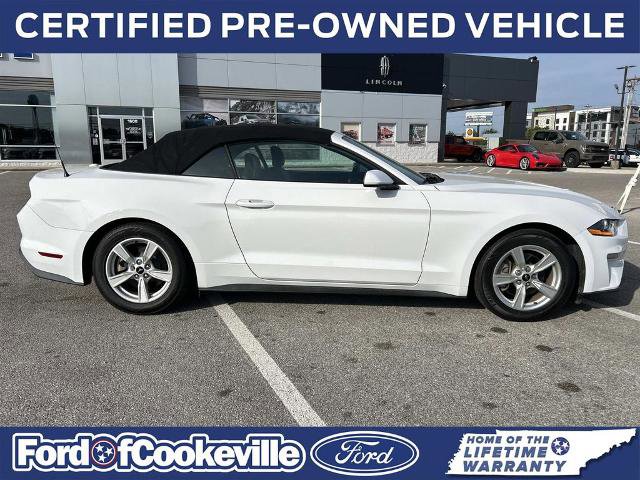 Certified 2020 Ford Mustang Convertible w/ Ford Safe & Smart Package RWD image 3