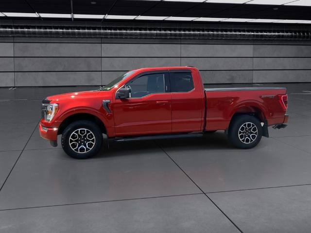 Certified 2023 Ford F150 XLT w/ Equipment Group 302A High AWD/4WD image 9