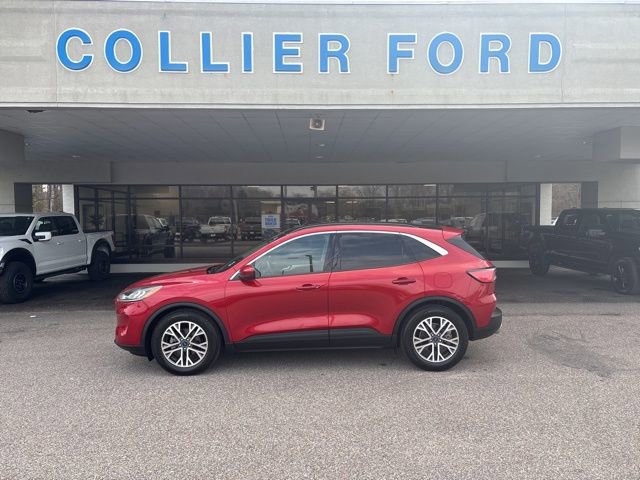 Certified 2020 Ford Escape SEL image 2