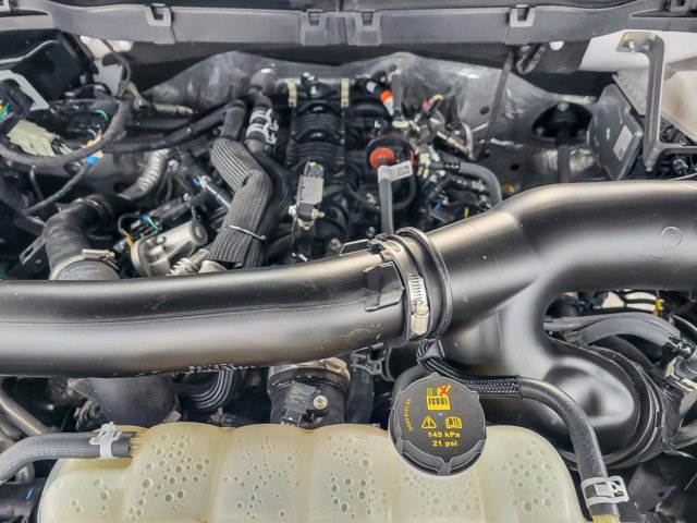 Certified 2025 Ford F150 Tremor w/ Bed Utility Package image 31