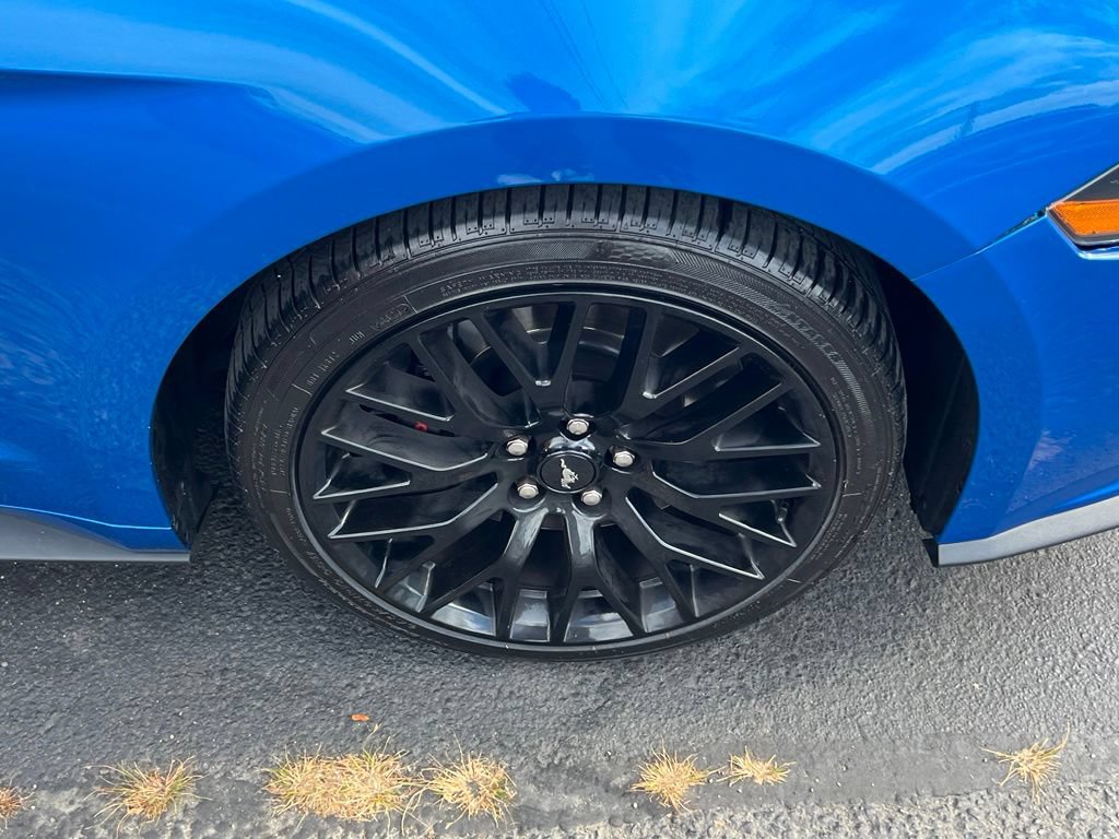 Certified 2021 Ford Mustang GT Premium w/ GT Performance Package RWD image 6