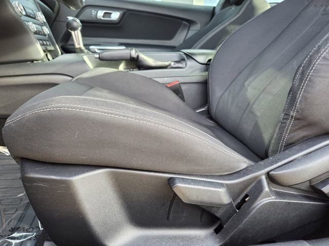 Certified 2019 Ford Mustang Coupe image 13