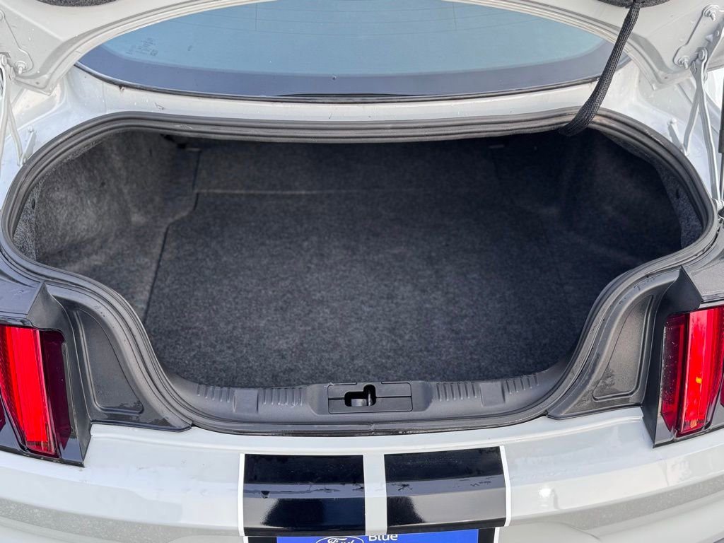 Certified 2017 Ford Mustang Shelby GT350 w/ Electronics Package image 8