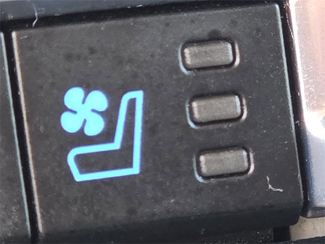 Certified 2024 Ford Expedition Max XLT image 13