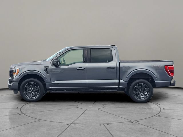 Certified 2023 Ford F150 XLT w/ Equipment Group 302A High AWD/4WD image 9