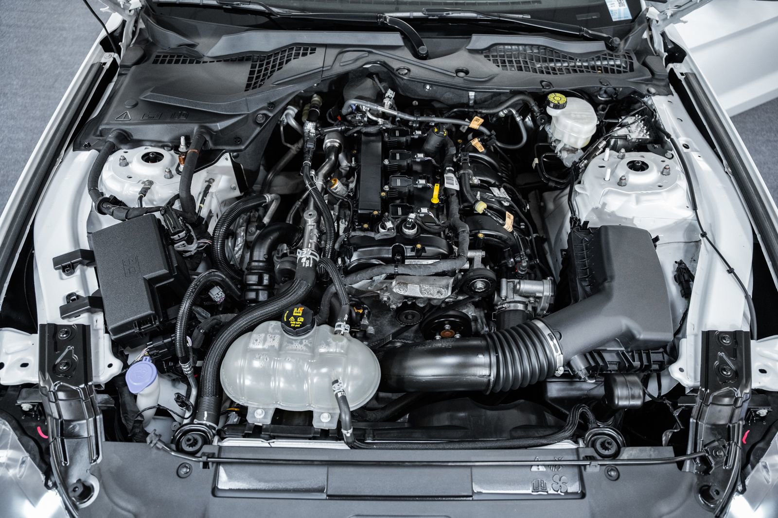 Certified 2022 Ford Mustang Coupe w/ Equipment Group 101A image 22