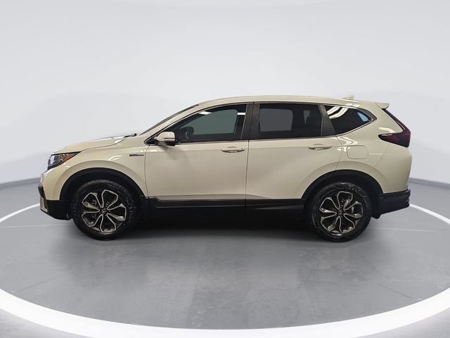 Used 2022 Honda CR-V EX-L image 6