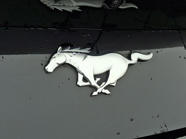 Certified 2024 Ford Mustang Premium image 28