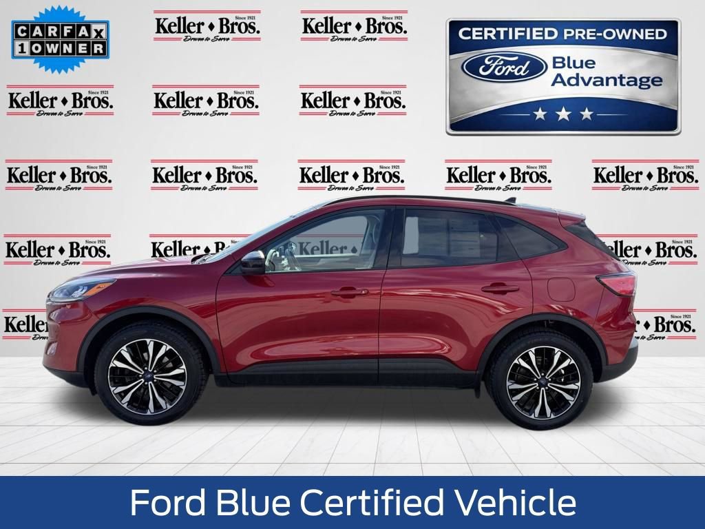 Certified 2022 Ford Escape SE w/ SE Sport Appearance Package image 2