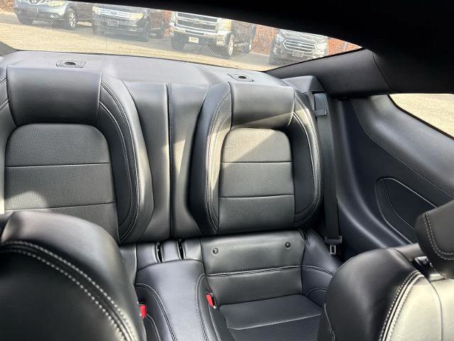 Certified 2024 Ford Mustang GT Premium w/ Mustang Nite Pony Package image 9