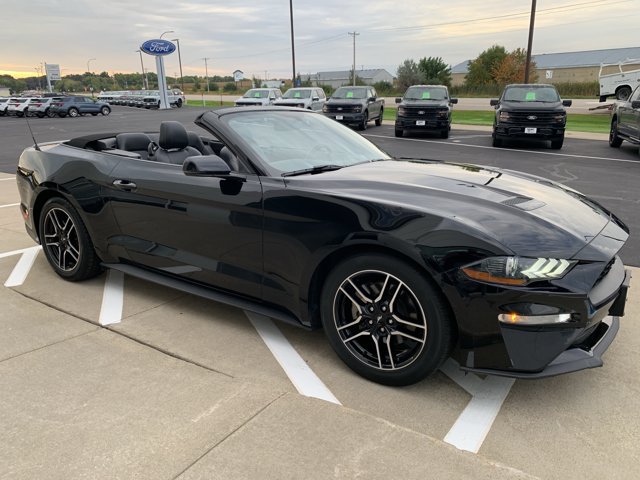 Certified 2018 Ford Mustang Premium w/ Equipment Group 201A RWD image 8