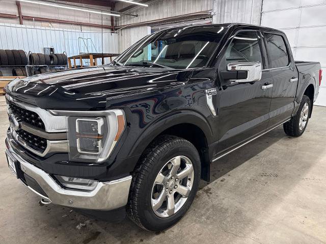 Certified 2023 Ford F150 King Ranch w/ Equipment Group 601A High AWD/4WD image 4