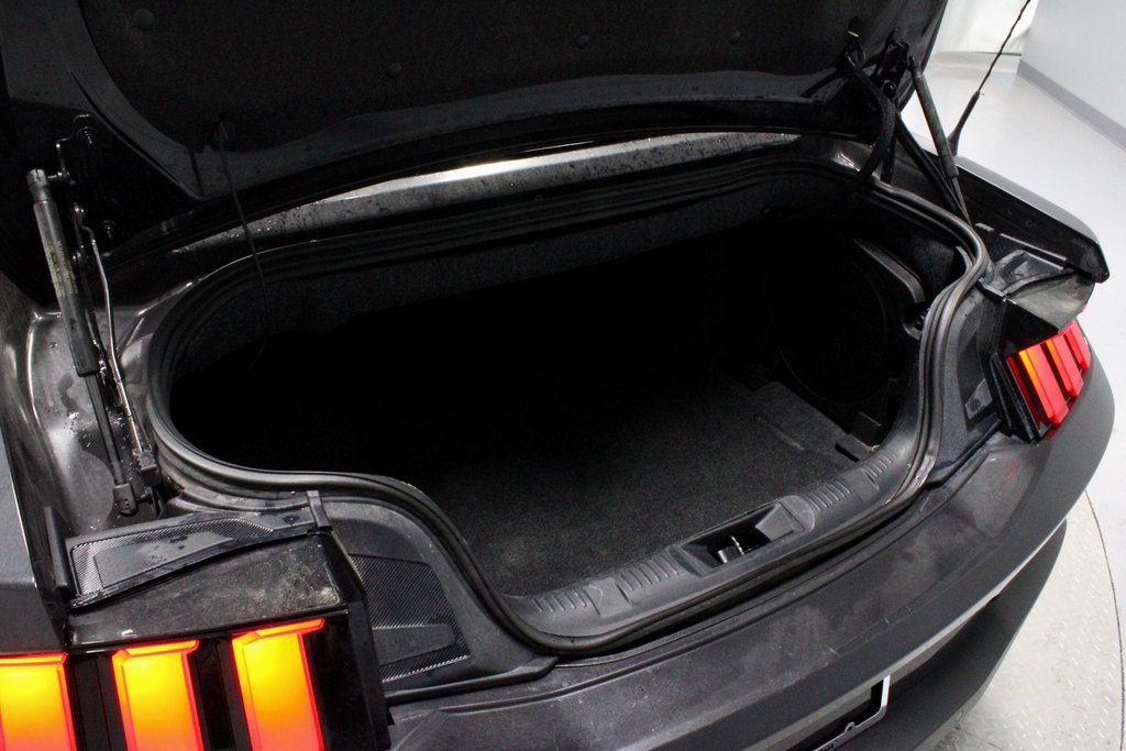 Certified 2024 Ford Mustang Premium image 14