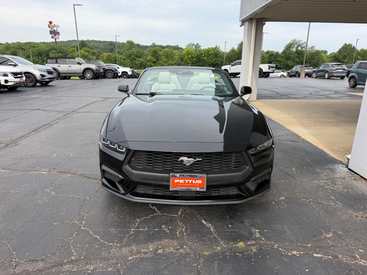 Certified 2024 Ford Mustang Premium RWD image 10