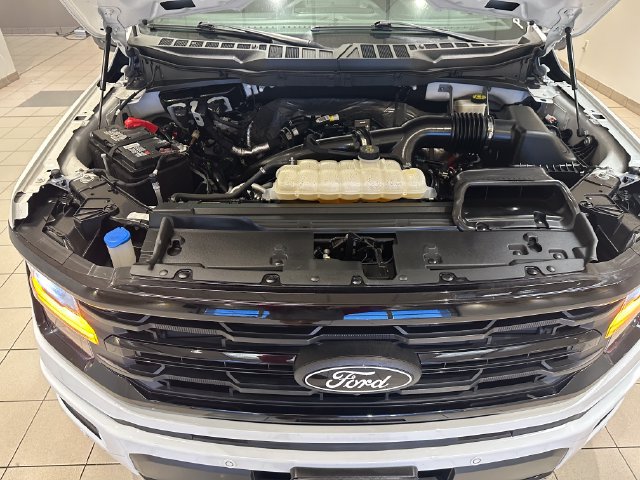 Certified 2024 Ford F150 XLT w/ Equipment Group 302A MID AWD/4WD image 24