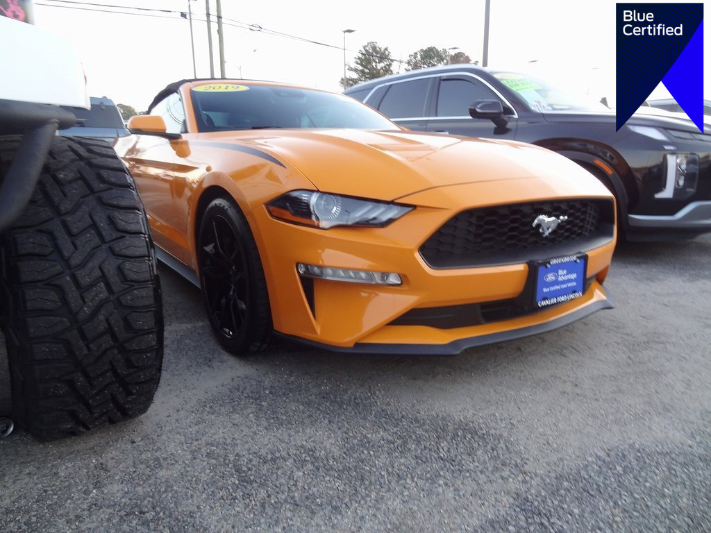 Certified 2019 Ford Mustang Premium w/ Equipment Group 201A image 1