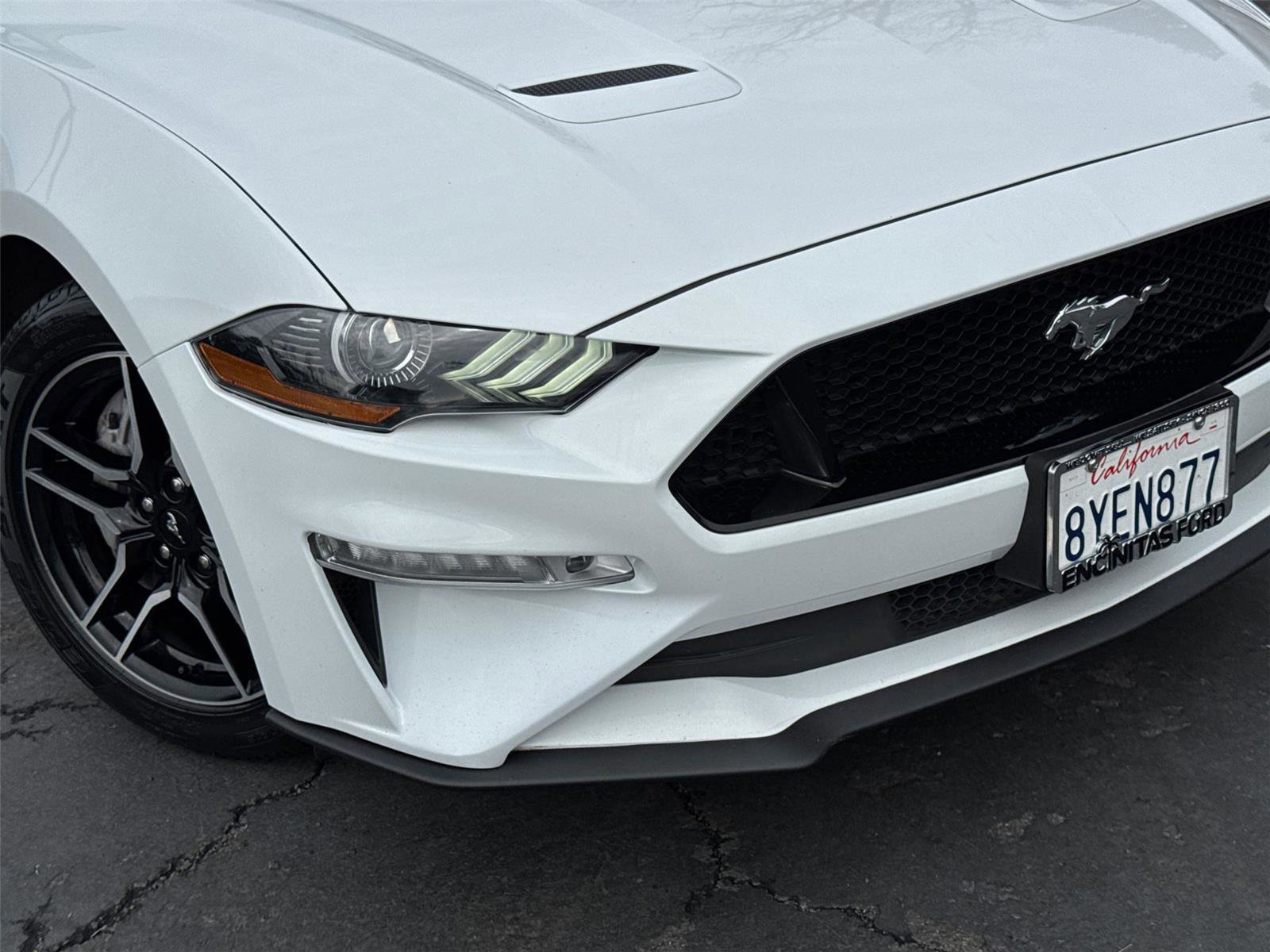 Certified 2019 Ford Mustang GT Premium image 9