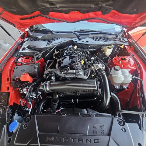 Certified 2024 Ford Mustang Premium image 10