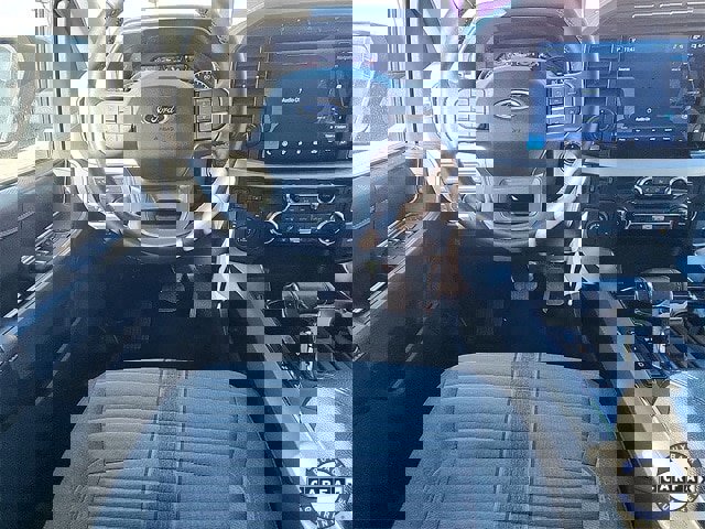 Certified 2023 Ford F150 XLT w/ Equipment Group 302A High image 9