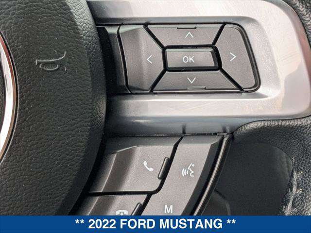 Certified 2022 Ford Mustang EcoBoost Fastback w/ Equipment Group 101A image 15