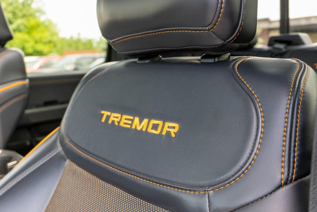 Certified 2025 Ford F150 Tremor w/ Equipment Group 402A High AWD/4WD image 21