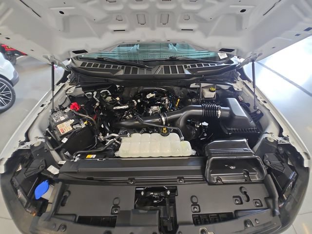 Certified 2024 Ford F150 XL RWD image 24