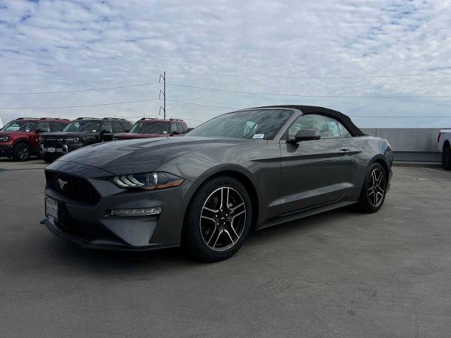 Certified 2023 Ford Mustang Premium w/ Equipment Group 201A image 2