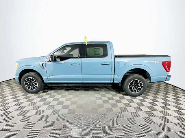 Certified 2023 Ford F150 XLT w/ Equipment Group 302A High image 2