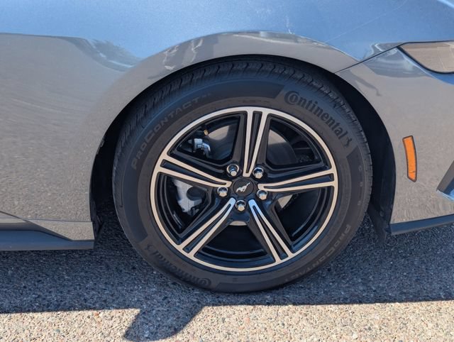 Certified 2025 Ford Mustang Coupe RWD image 12