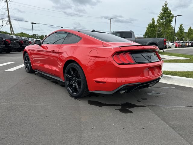 Certified 2019 Ford Mustang Coupe w/ Equipment Group 101A RWD image 5
