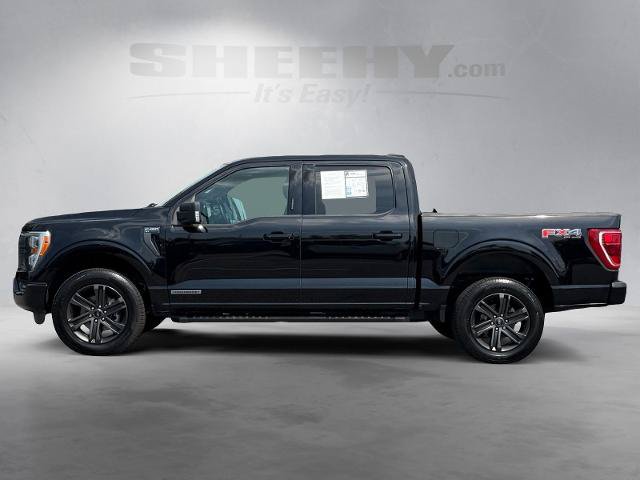 Certified 2023 Ford F150 XLT w/ Equipment Group 302A High AWD/4WD image 16