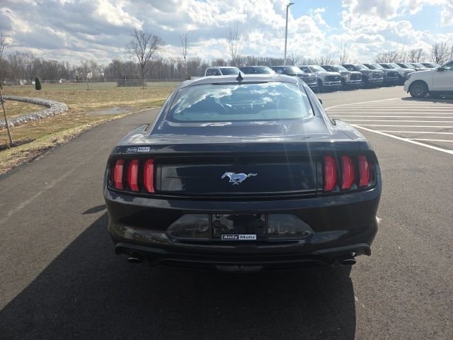 Certified 2023 Ford Mustang EcoBoost w/ Equipment Group 101A image 3