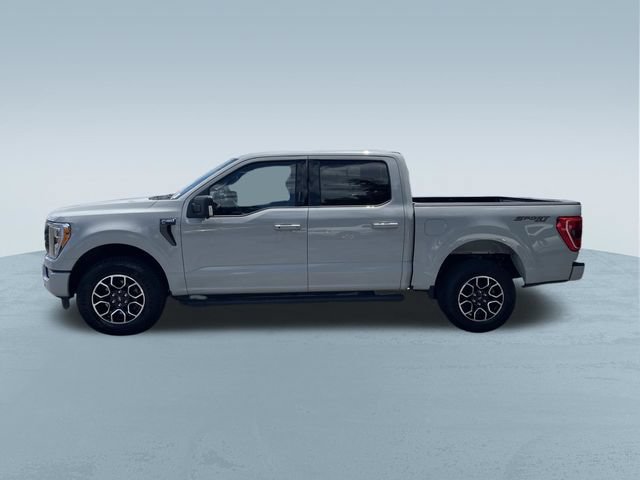 Certified 2023 Ford F150 XLT w/ Equipment Group 302A High AWD/4WD image 8