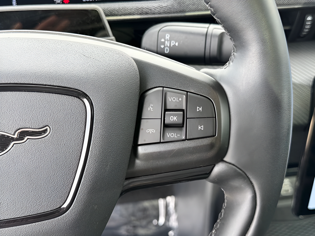 Certified 2025 Ford Mustang Mach-E Premium RWD image 17