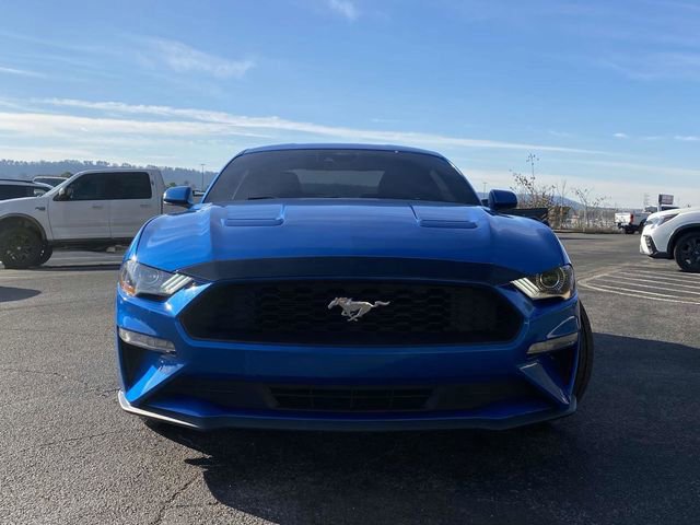 Certified 2021 Ford Mustang Coupe w/ Equipment Group 101A image 8