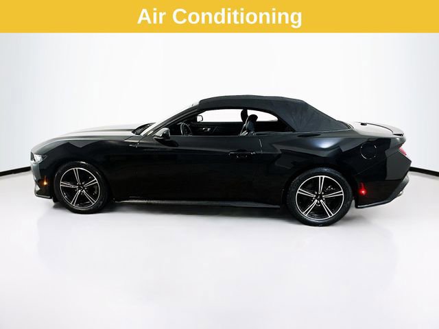 Certified 2024 Ford Mustang Premium image 2