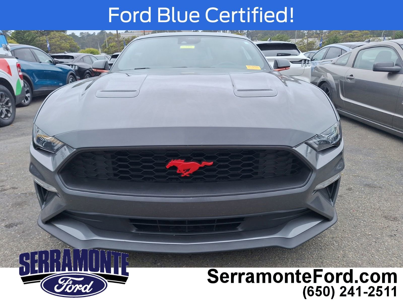 Certified 2021 Ford Mustang Coupe w/ Equipment Group 101A RWD image 2