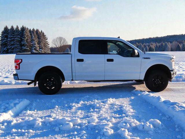 Certified 2019 Ford F150 XLT image 2