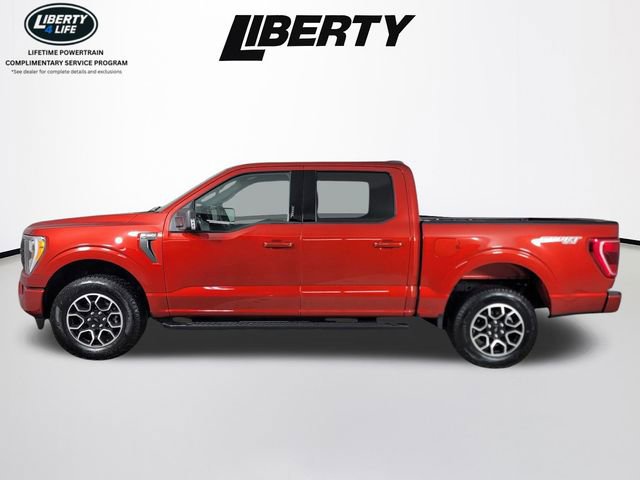 Certified 2023 Ford F150 XLT w/ Equipment Group 302A High image 6