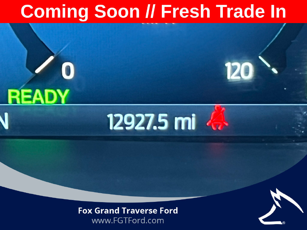 Certified 2024 Ford F150 XLT w/ Equipment Group 302A MID AWD/4WD image 6